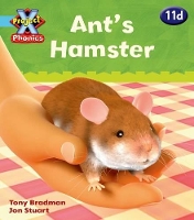 Book Cover for Project X Phonics Blue: 11d Ant's Hamster by Tony Bradman