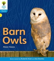 Book Cover for Oxford Reading Tree: Level 3: Floppy's Phonics Non-Fiction: Barn Owls by Alison Hawes, Roderick Hunt