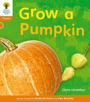 Book Cover for Oxford Reading Tree: Level 6: Floppy's Phonics Non-Fiction: Grow a Pumpkin by Claire Llewellyn, Roderick Hunt