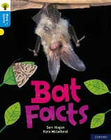 Book Cover for Bat Facts by Sam Hogan