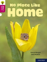 Book Cover for Oxford Reading Tree Word Sparks: Level 10: No Place Like Home by Hawys Morgan