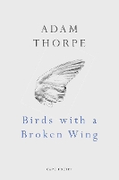 Book Cover for Birds With A Broken Wing by Adam Thorpe