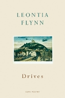 Book Cover for Drives by Leontia Flynn