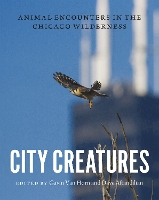 Book Cover for City Creatures by Gavin Van Horn