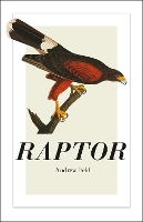 Book Cover for Raptor by Andrew Feld