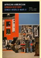 Book Cover for African American Urban History since World War II by Kenneth L Kusmer