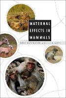 Book Cover for Maternal Effects in Mammals by Dario Maestripieri