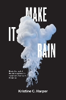 Book Cover for Make It Rain by Kristine C Harper