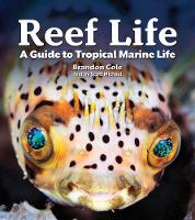 Book Cover for Reef Life by Michael Scott, Brandon Cole