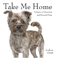 Book Cover for Take Me Home! by Andrew Grant