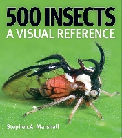 Book Cover for 500 Insects: A Visual Reference by Stephen A Marshall