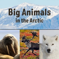 Book Cover for Big Animals in the Arctic by Arvaaq Press