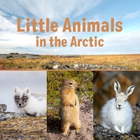 Book Cover for Little Animals in the Arctic by Arvaaq Press