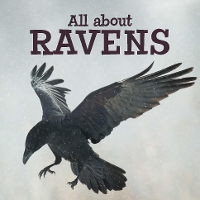 Book Cover for All About Ravens by Arvaaq Press