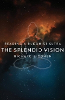 Book Cover for The Splendid Vision by Richard Cohen