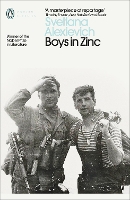 Book Cover for Boys in Zinc by Svetlana Alexievich