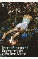 Book Cover for Springtime in a Broken Mirror by Mario Benedetti