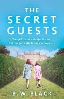 Book Cover for The Secret Guests by Benjamin Black