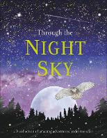 Book Cover for Through the Night Sky by DK