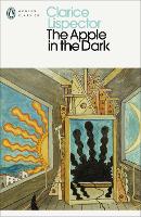 Book Cover for The Apple in the Dark by Clarice Lispector, Paulo Gurgel Valente