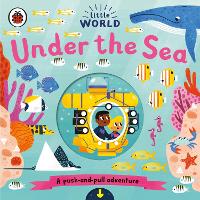 Book Cover for Little World: Under the Sea by Allison Black