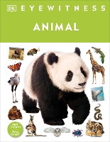 Book Cover for Animal by DK