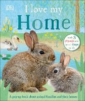 Book Cover for I Love My Home by DK