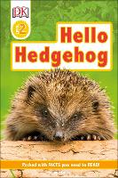 Book Cover for Hello Hedgehog by Laura Buller