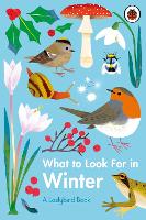Book Cover for What to Look for in Winter by Elizabeth Jenner