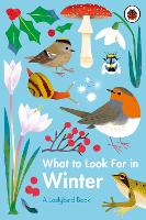 Book Cover for What to Look For in Winter by Elizabeth Jenner