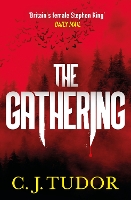 Book Cover for The Gathering by C. J. Tudor