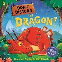 Book Cover for Don't Disturb the Dragon by Rhiannon Findlay