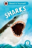 Book Cover for Sharks by Chris Baker