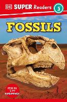 Book Cover for Fossils by Libby Romero