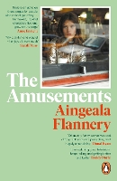 Book Cover for The Amusements by Aingeala Flannery