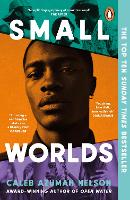 Book Cover for Small Worlds by Caleb Azumah Nelson