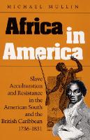 Book Cover for Africa in America by Michael Mullin