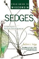 Book Cover for Field Guide to Wisconsin Sedges by Andrew Hipp