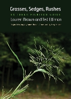 Book Cover for Grasses, Sedges, Rushes by Lauren Brown, Ted Elliman, Jerry Jenkins