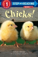 Book Cover for Chicks! by Sandra Horning