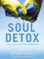 Book Cover for Soul Detox by Craig Groeschel