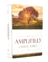 Book Cover for The Amplified Study Bible, Hardcover by Zondervan