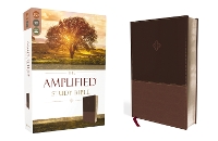 Book Cover for The Amplified Study Bible, Leathersoft, Brown by Zondervan