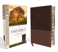 Book Cover for The Amplified Study Bible, Leathersoft, Brown, Thumb Indexed by Zondervan