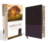 Book Cover for The Amplified Study Bible, Leathersoft, Purple, Thumb Indexed by Zondervan