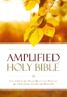 Book Cover for Amplified Outreach Bible, Paperback by Zondervan