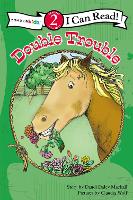 Book Cover for Double Trouble by Dandi Daley Mackall