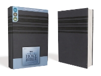 Book Cover for NIrV, Holy Bible, Large Print, Leathersoft, Blue by Zondervan Publishing