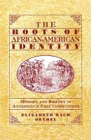 Book Cover for The Roots of African-American Identity by Na Na