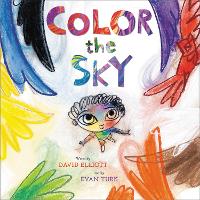 Book Cover for Color the Sky by David Elliott